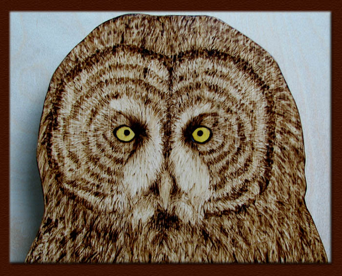 Strix nebulosa tanja sova pyrography